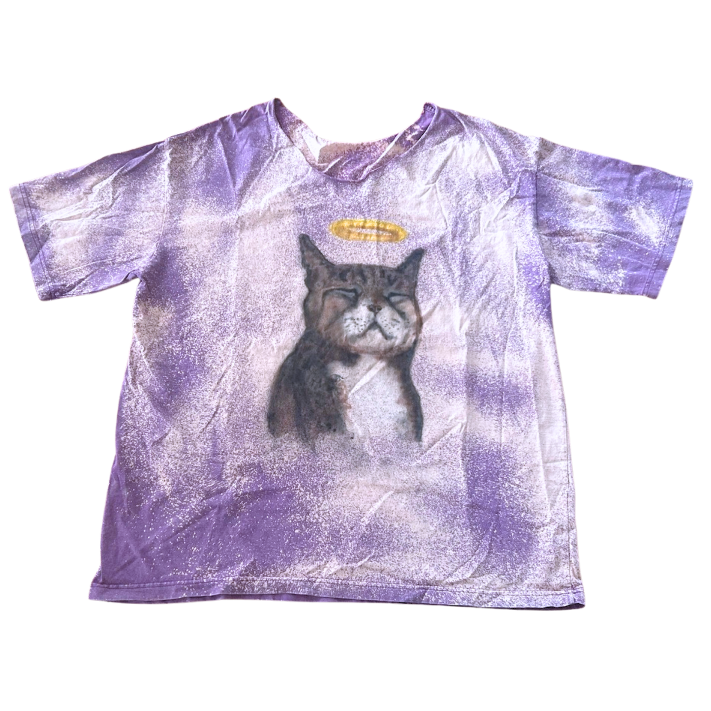 Custom Airbrushed Pet Portrait